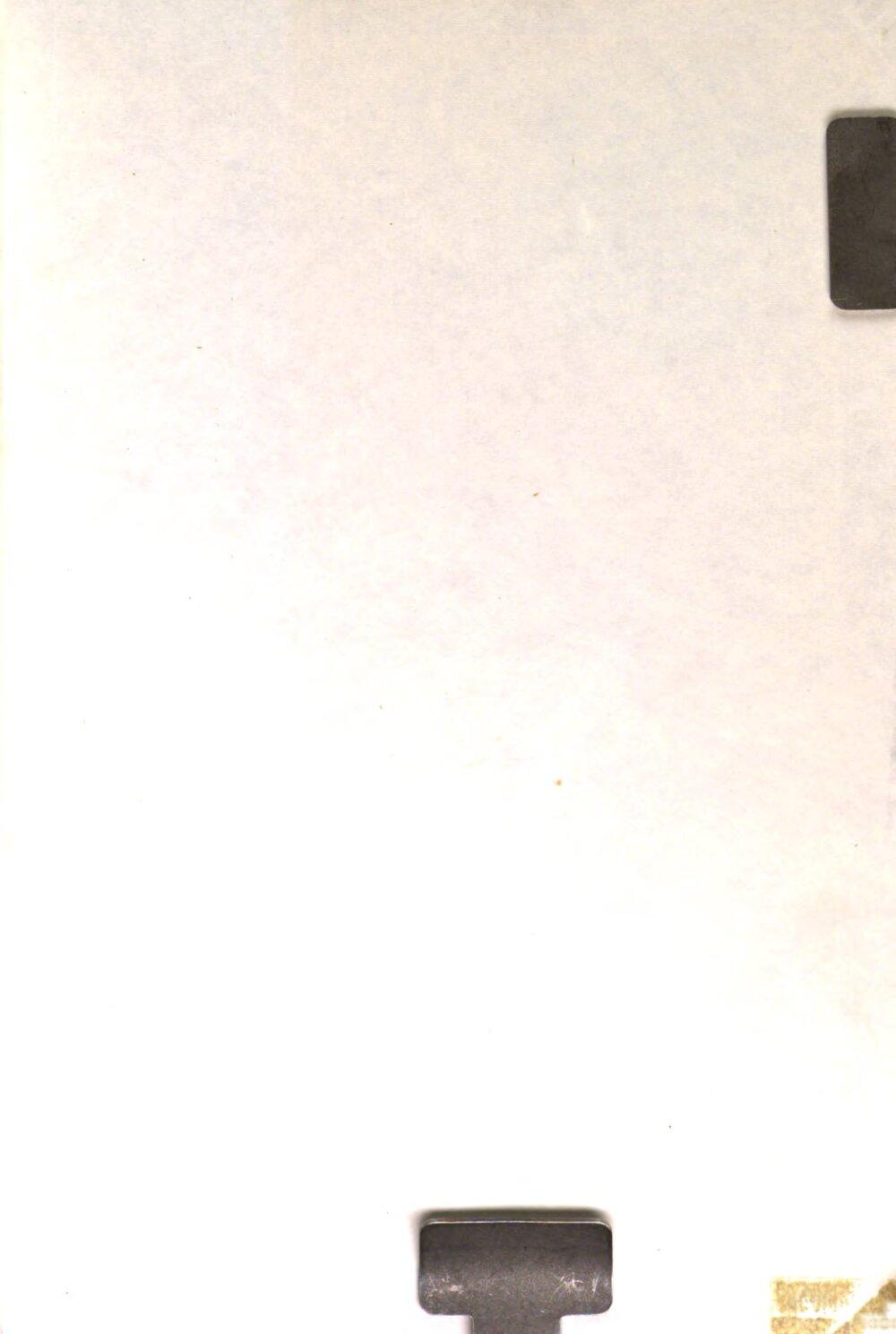Image 00893