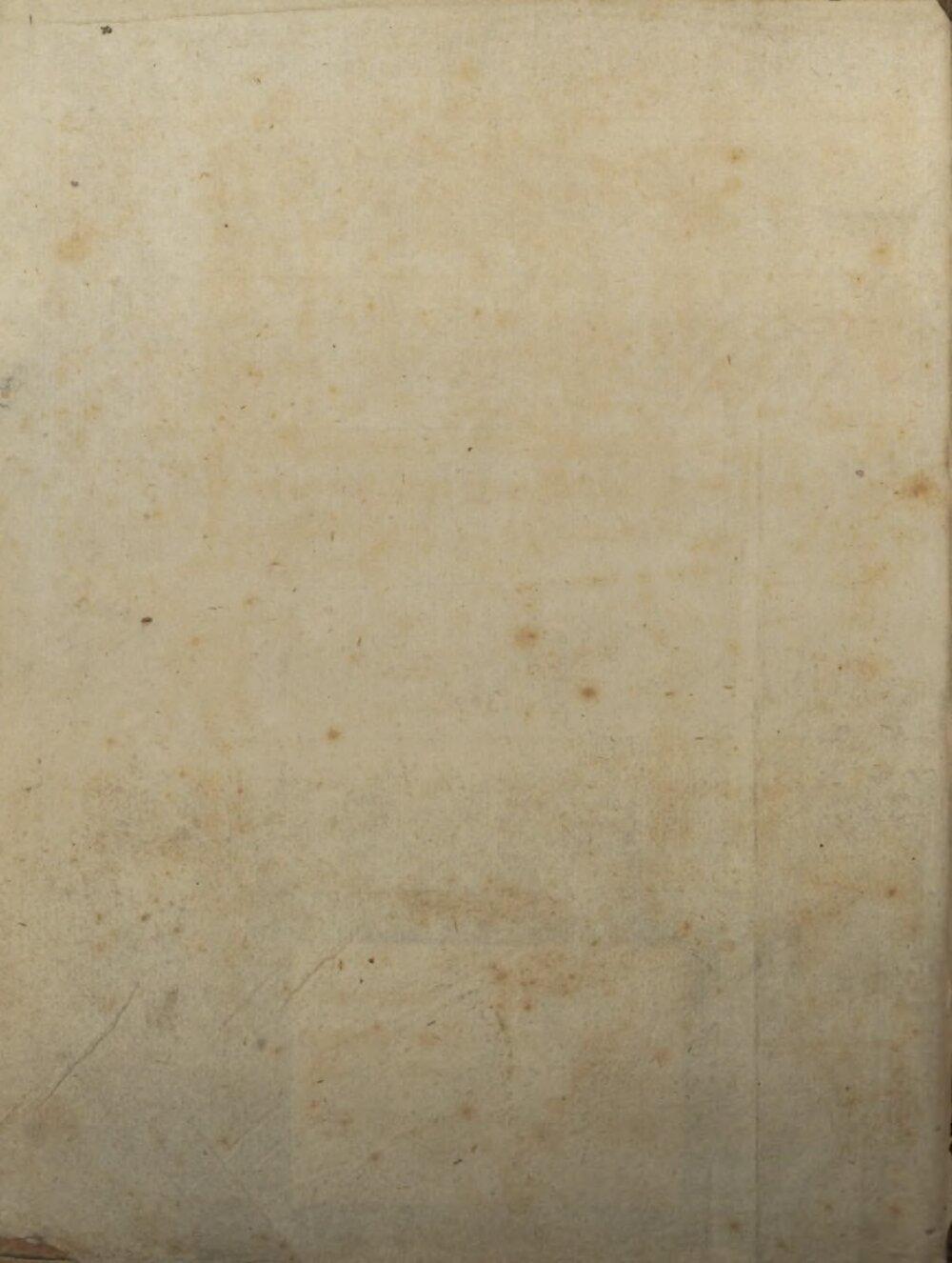 Image 00004