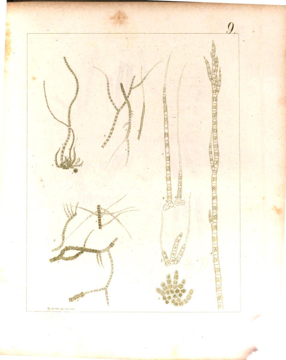 Image 00511