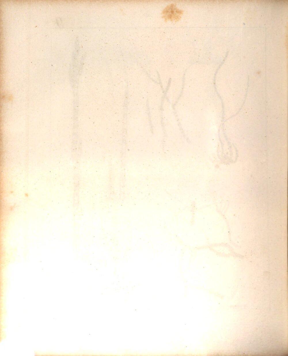 Image 00512