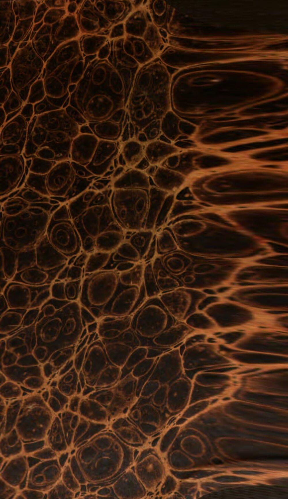 Image 00001