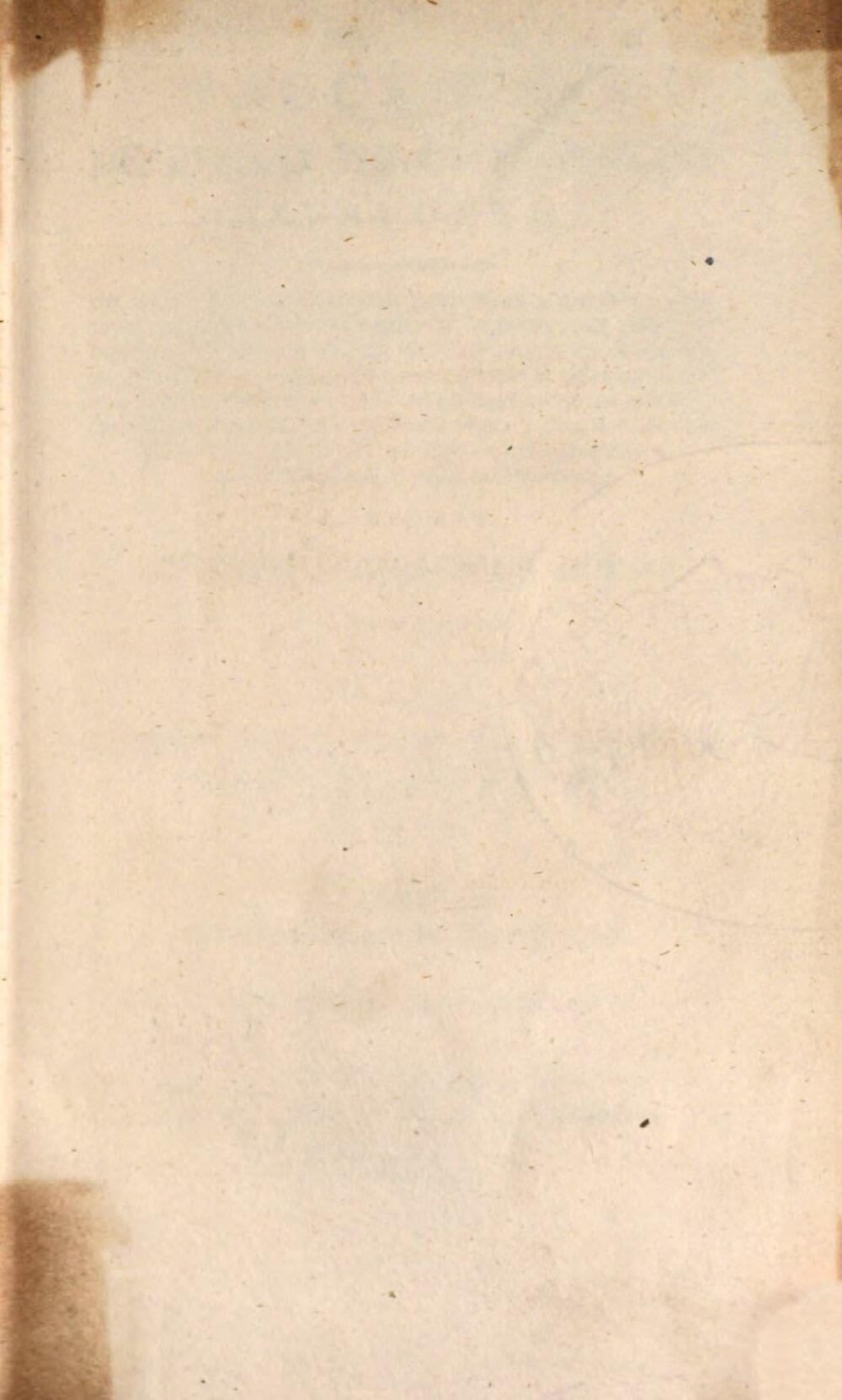 Image 00003