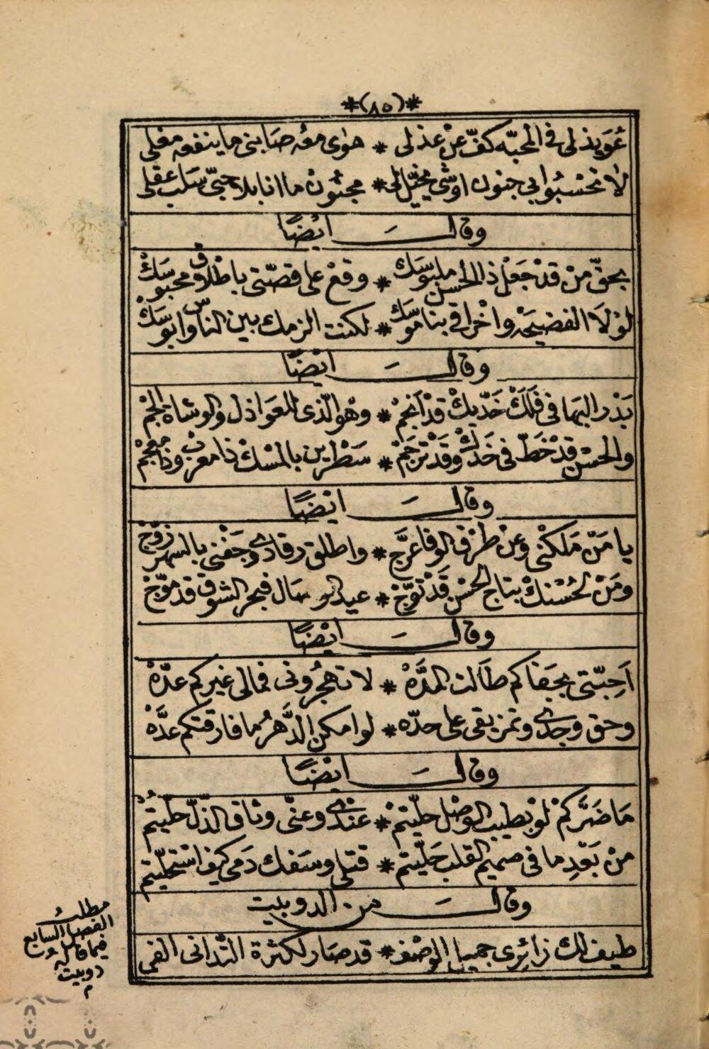 Image 00008