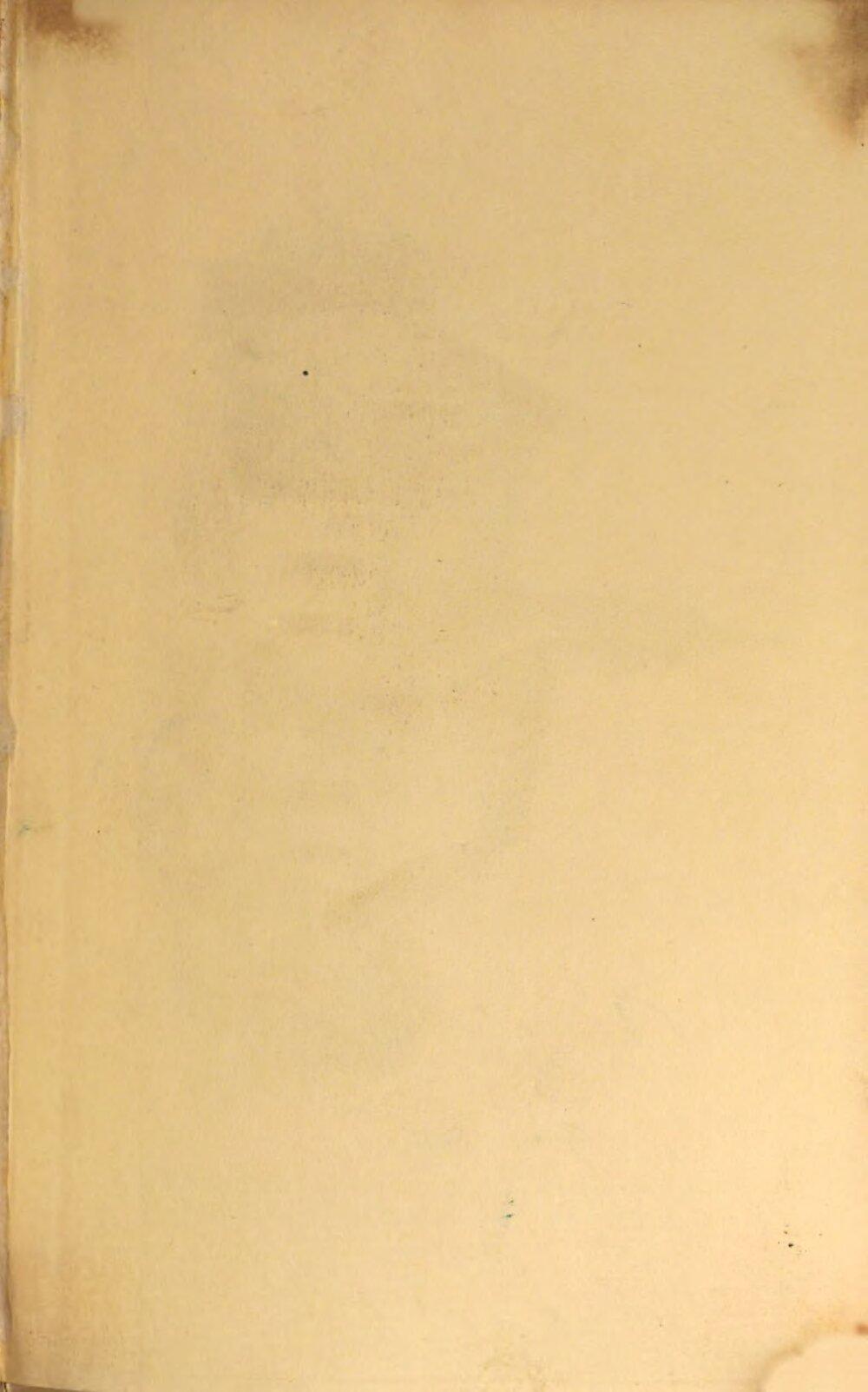Image 00005