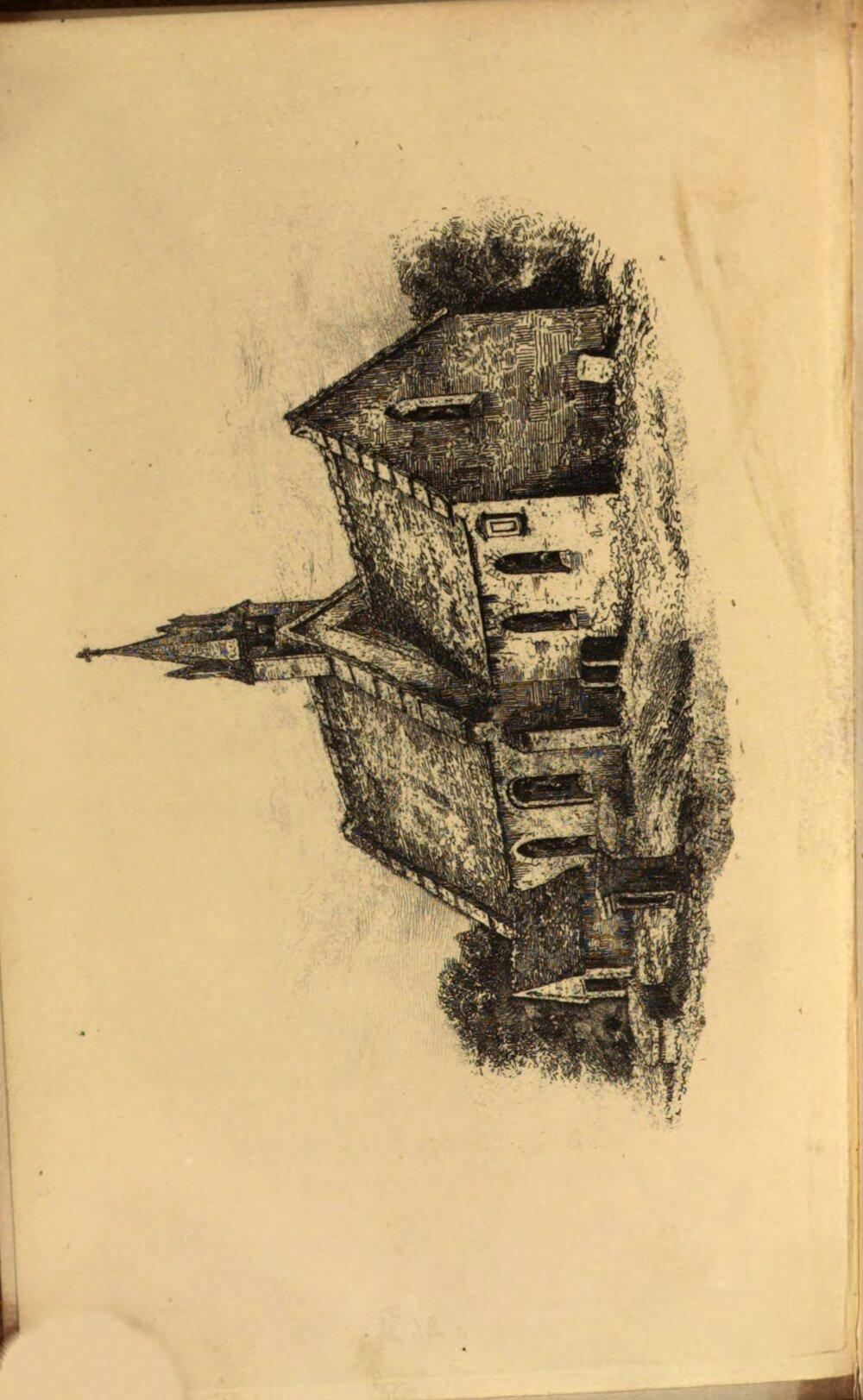Image 00006