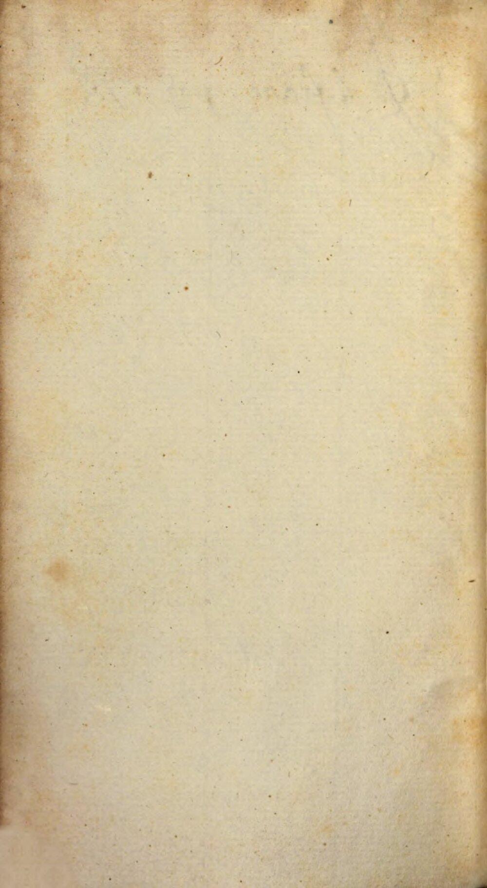 Image 00006