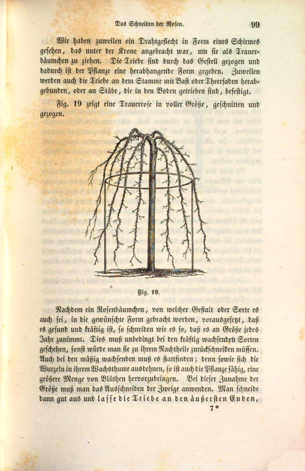 Image 00119