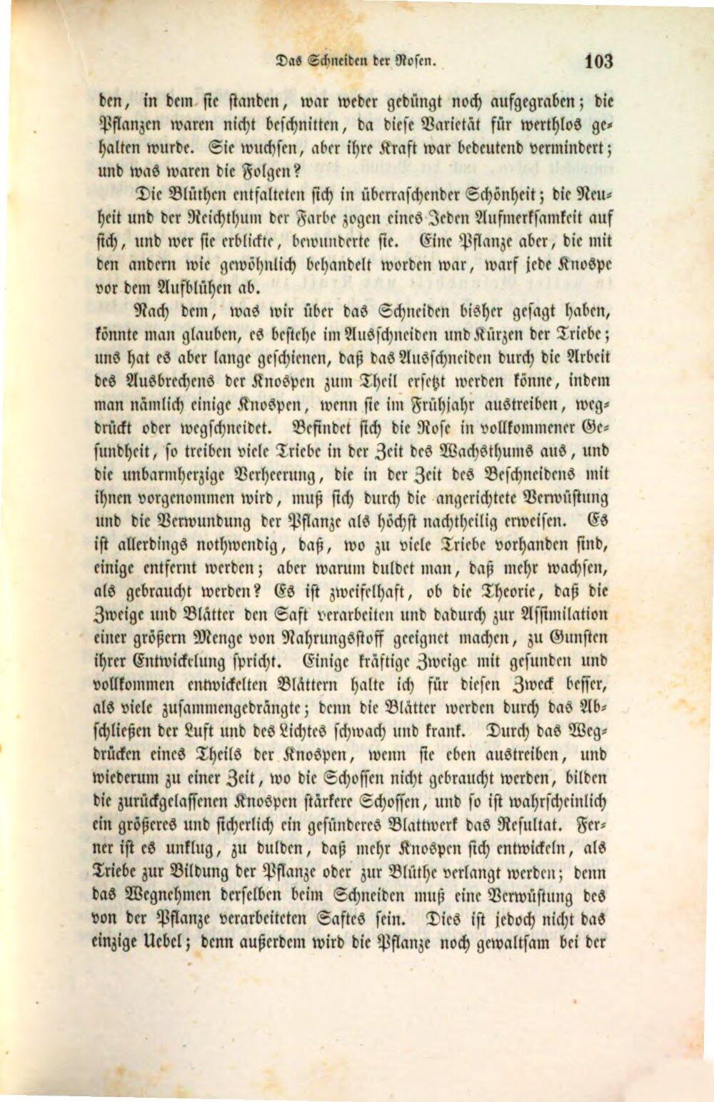 Image 00123