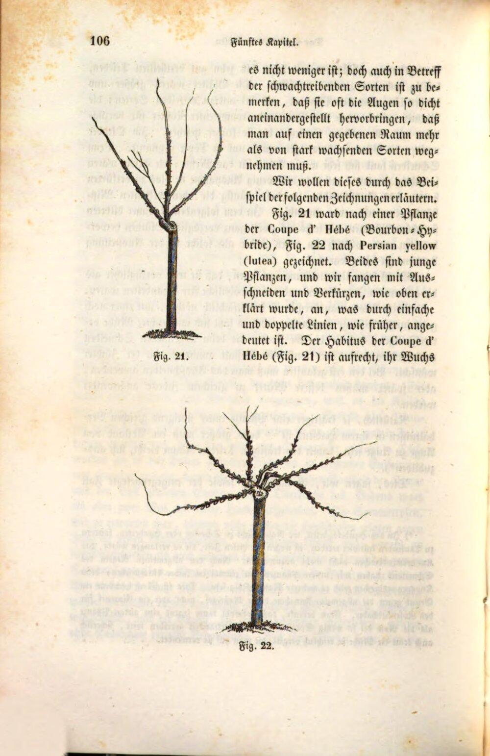 Image 00126