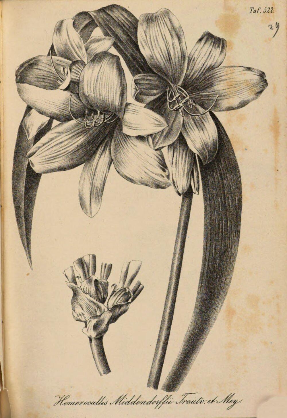 Image 00471