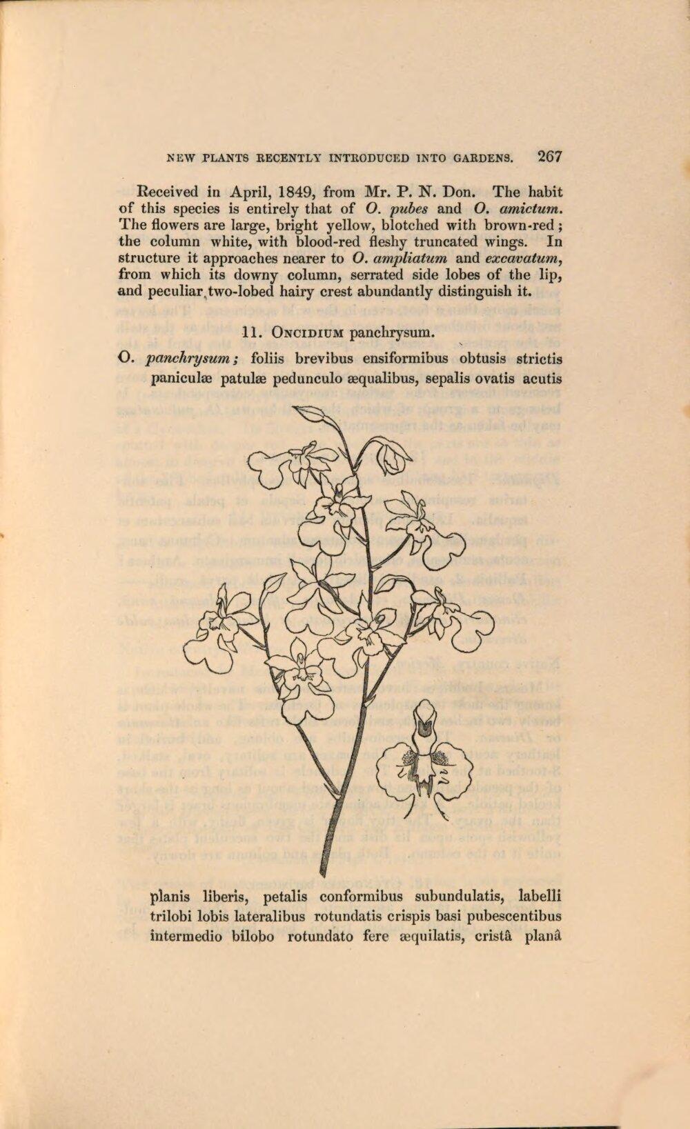 Image 00275