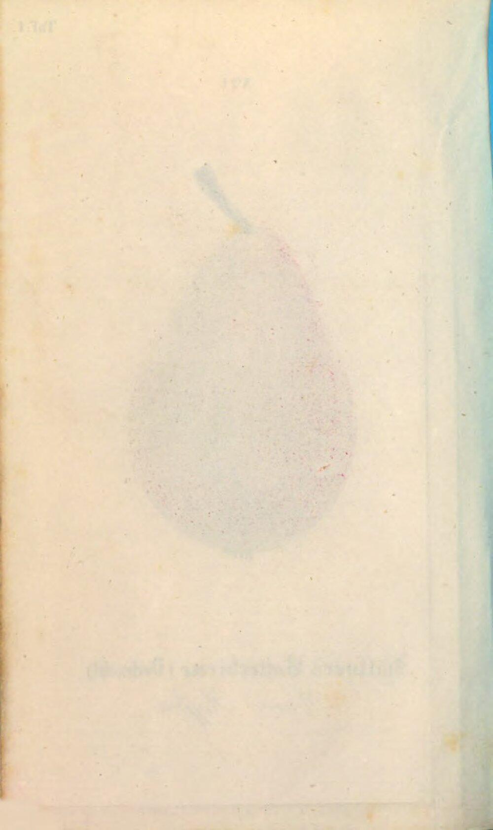 Image 00166