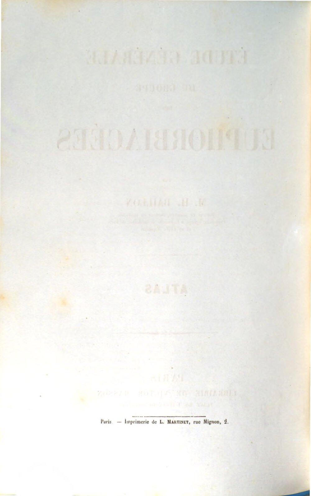 Image 00002