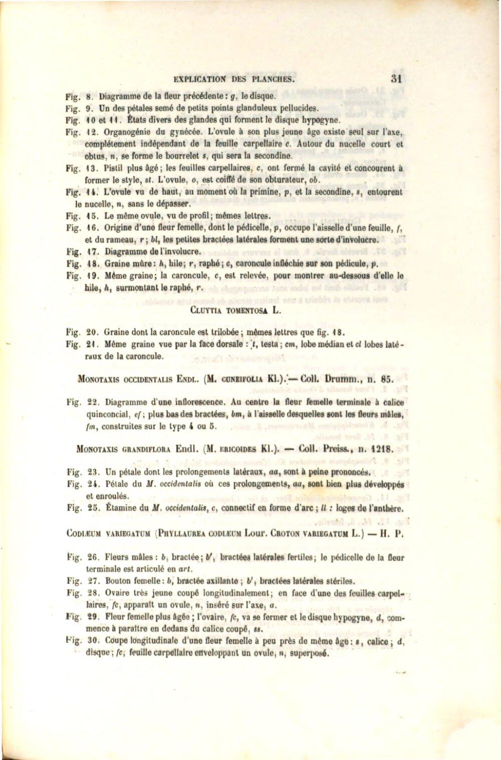 Image 00031