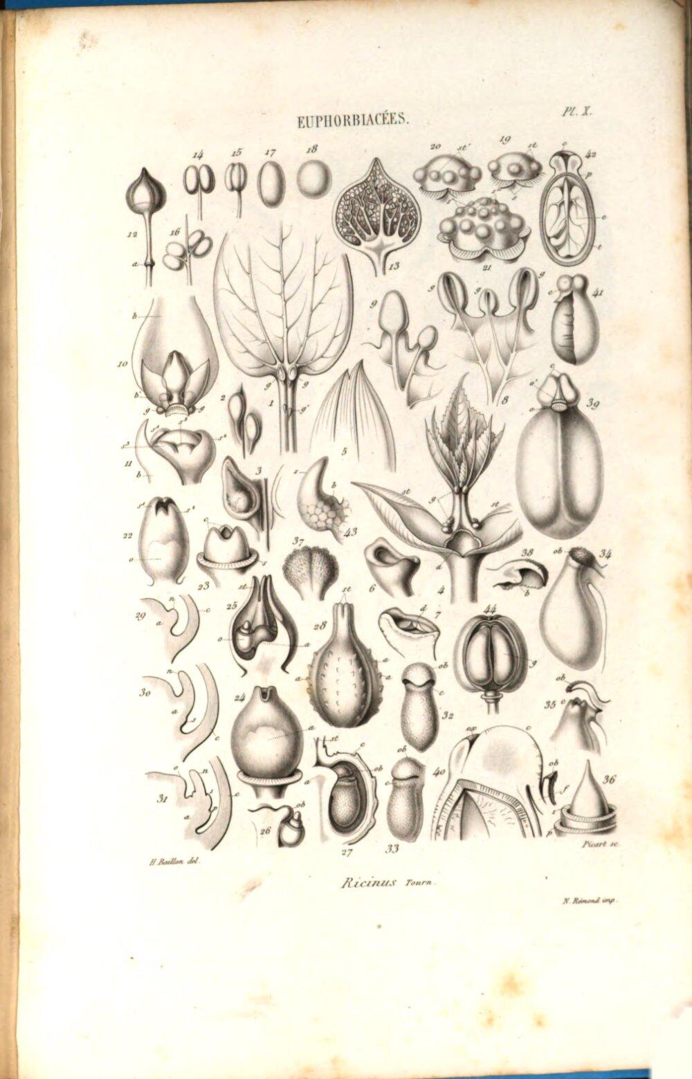 Image 00071