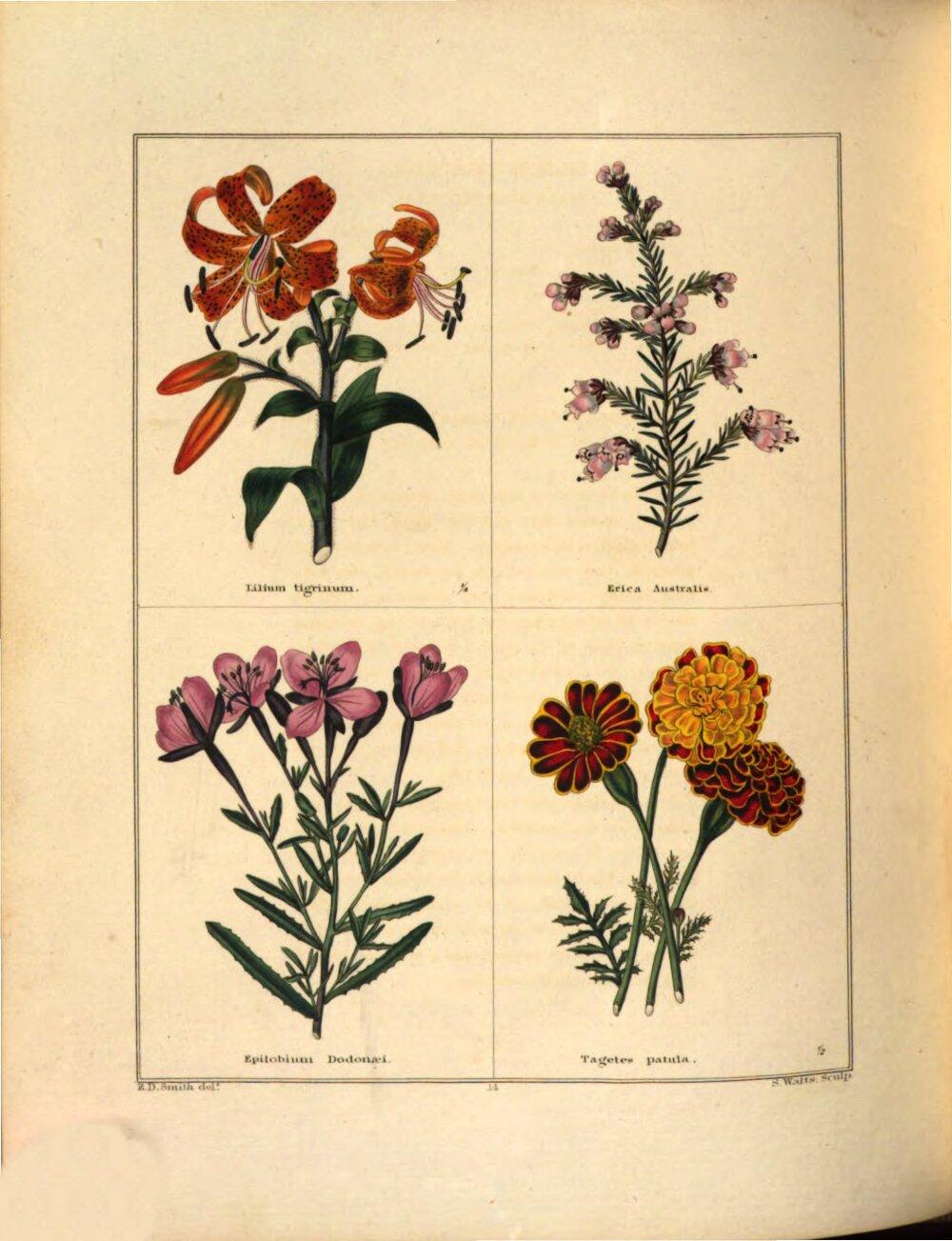 Image 00158