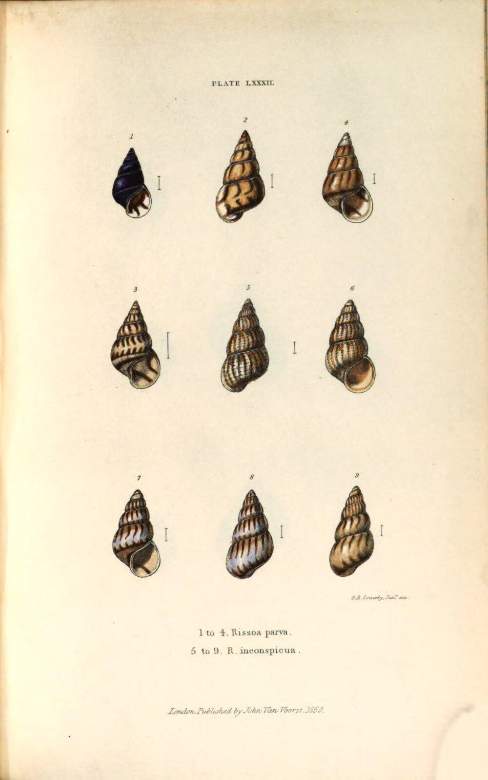 Image 00475
