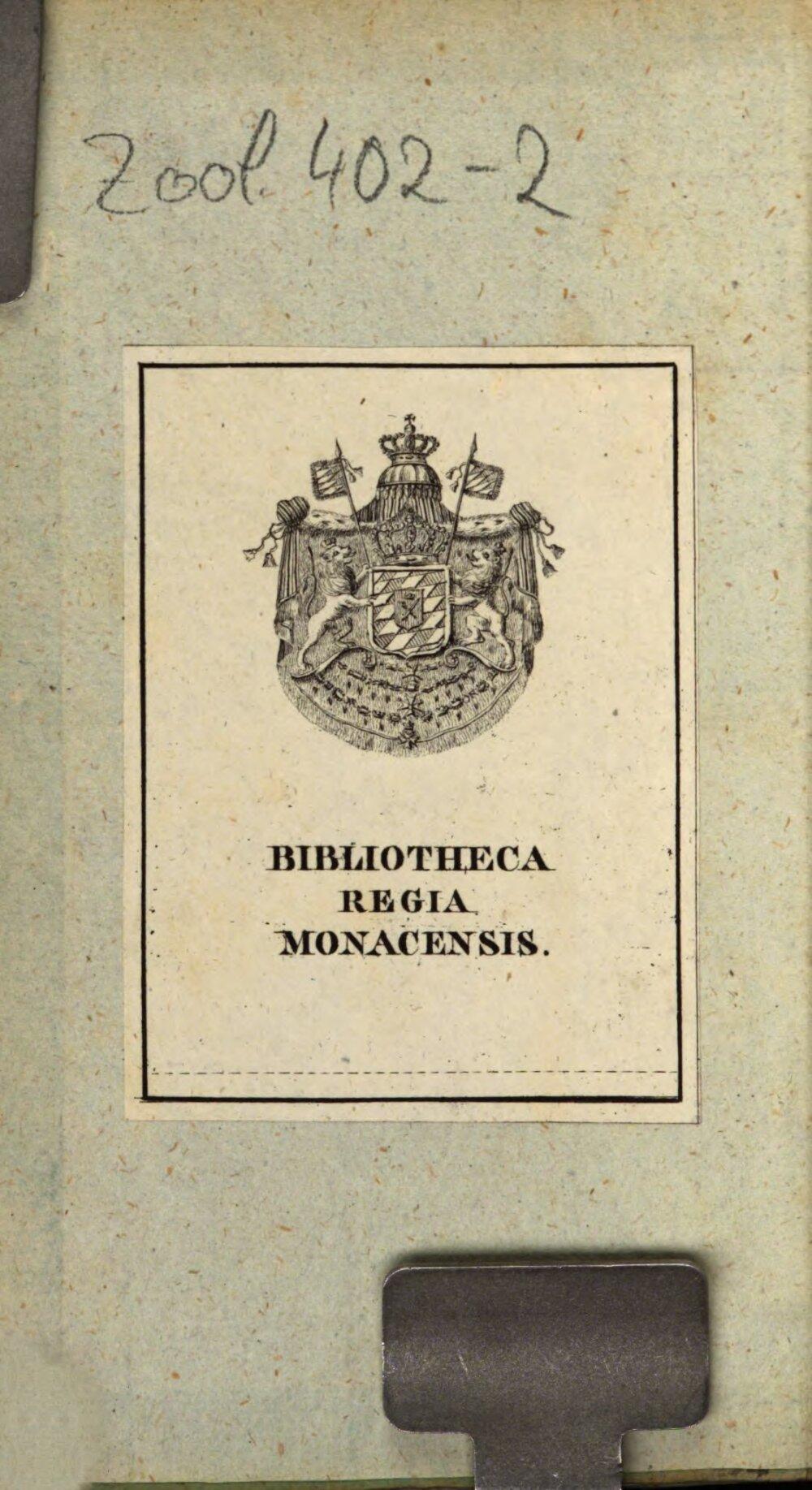 Image 00002