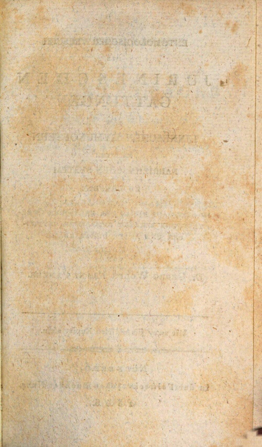 Image 00005