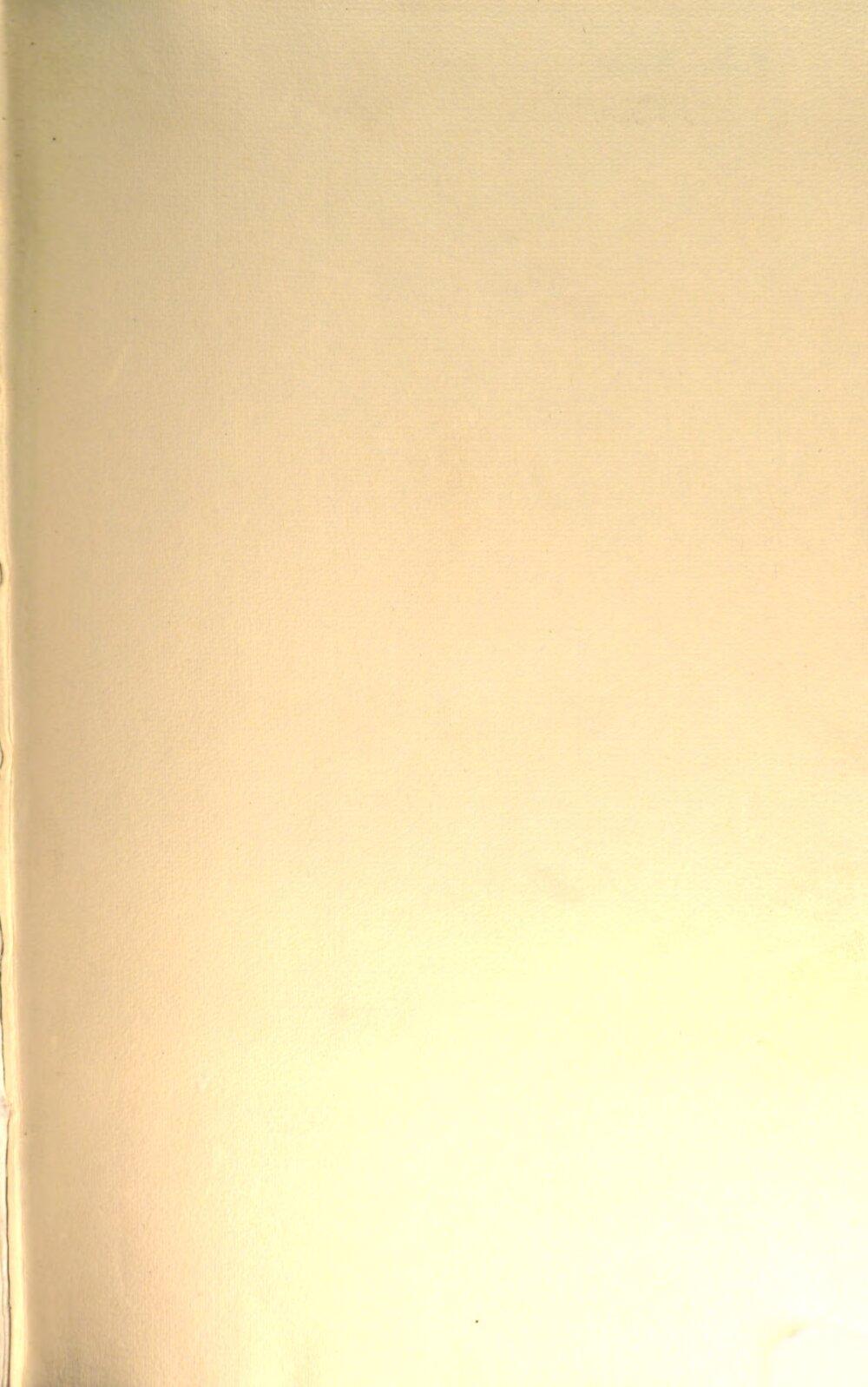 Image 00003