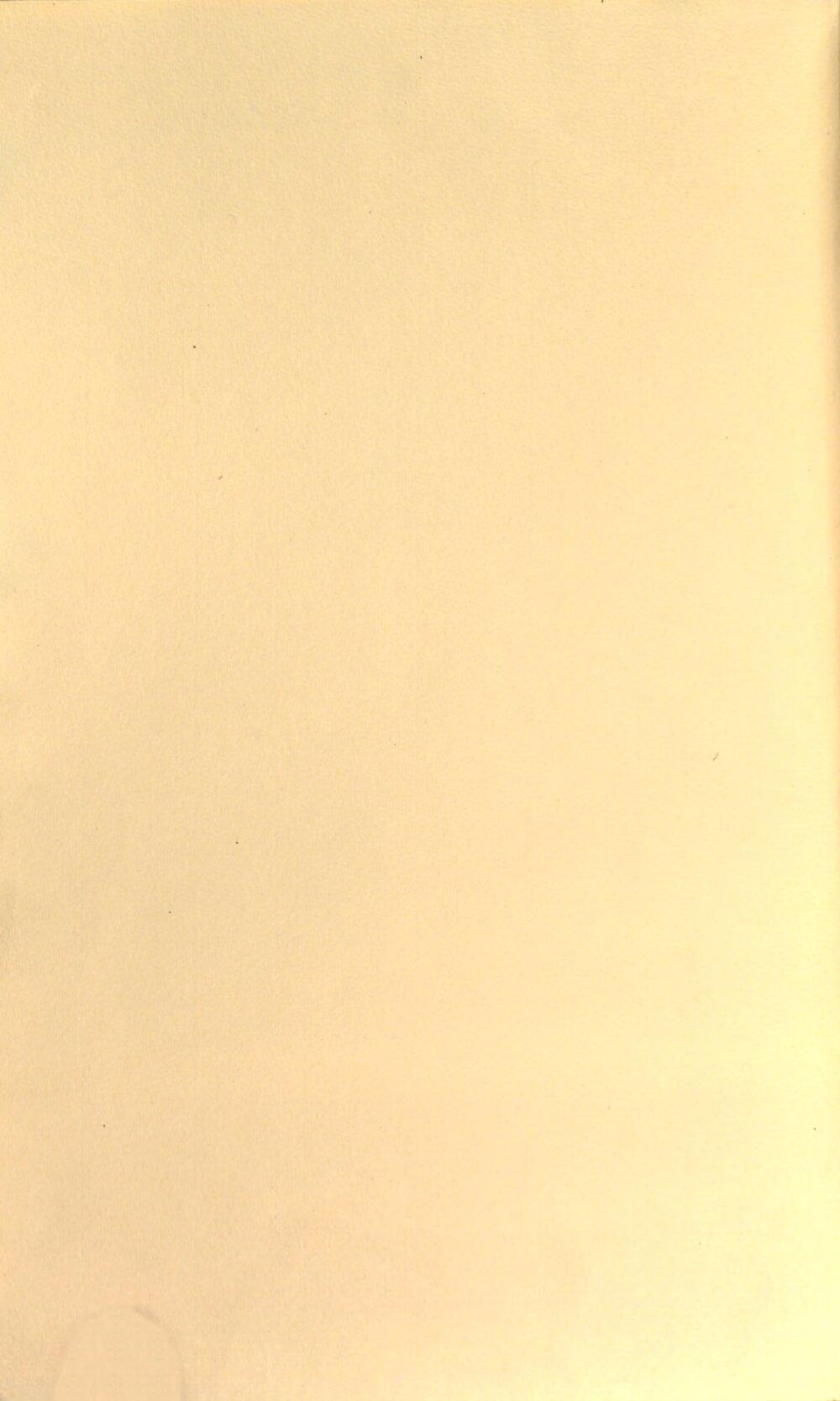 Image 00004