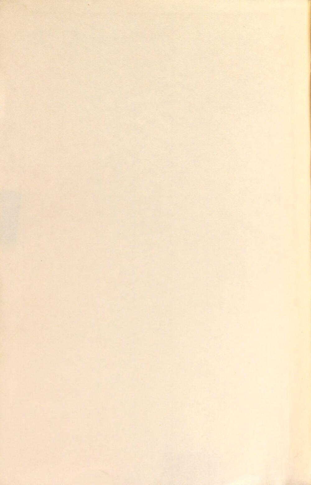 Image 00004
