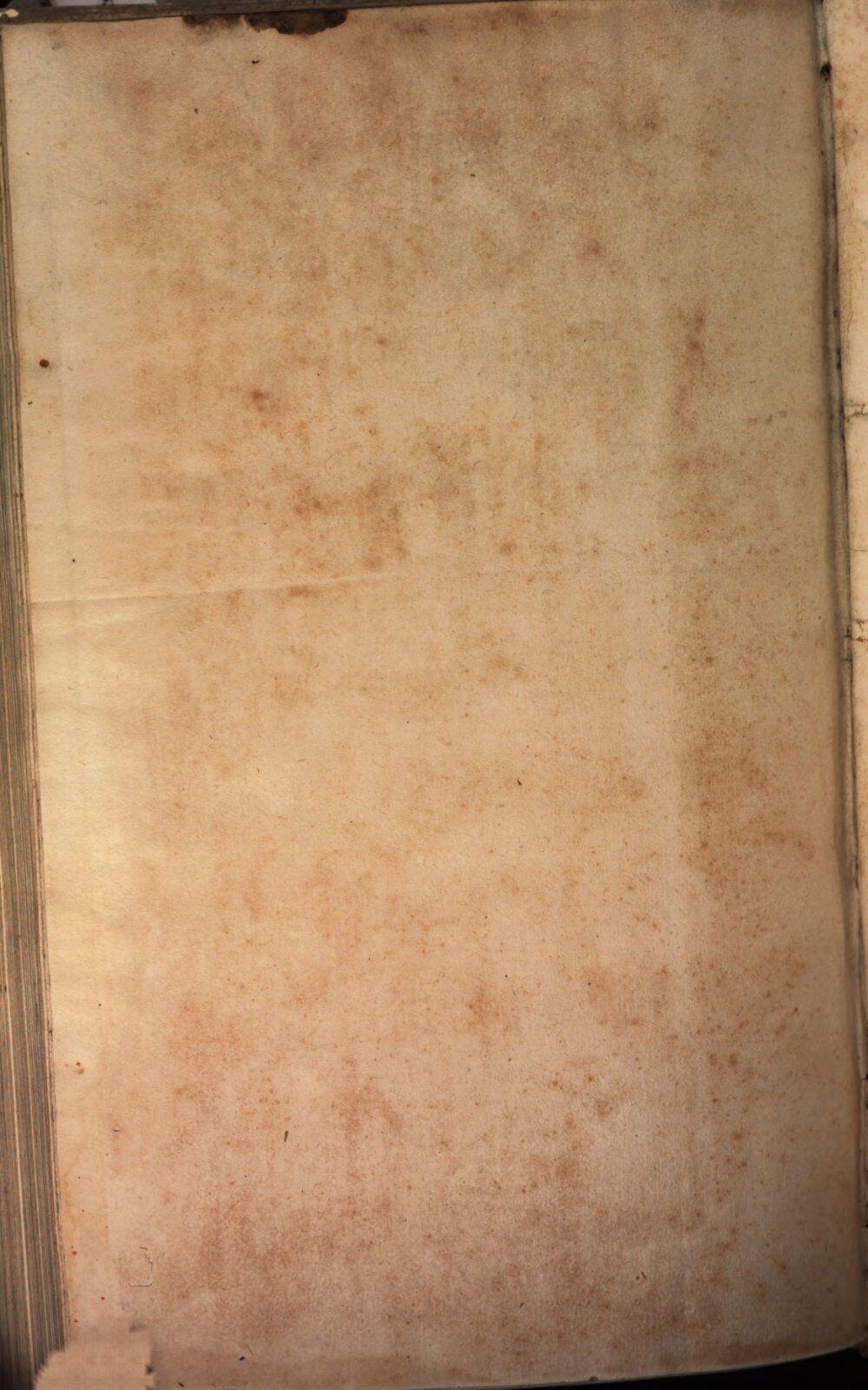 Image 00964