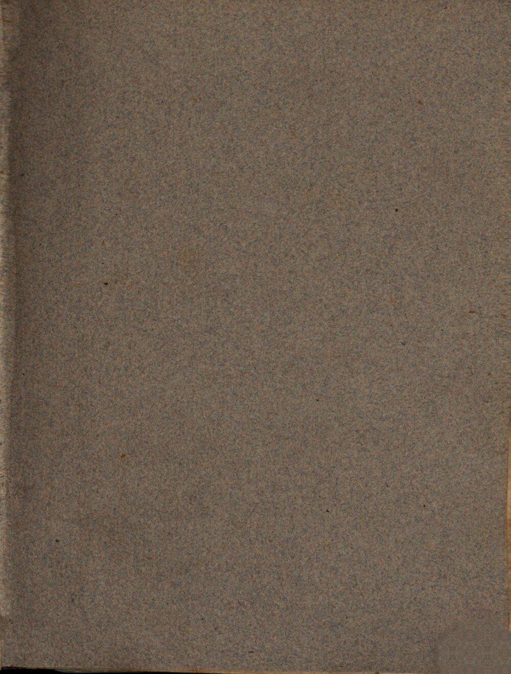 Image 00003