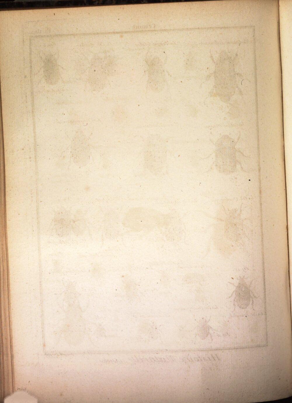 Image 00474