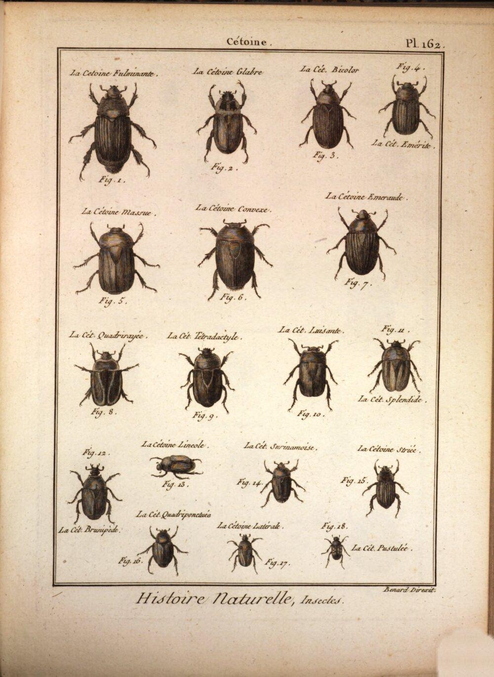 Image 00475