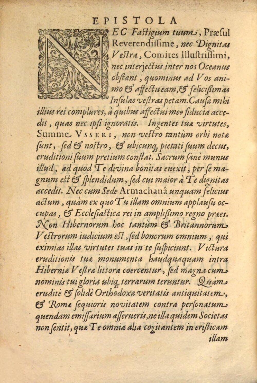 Image 00010