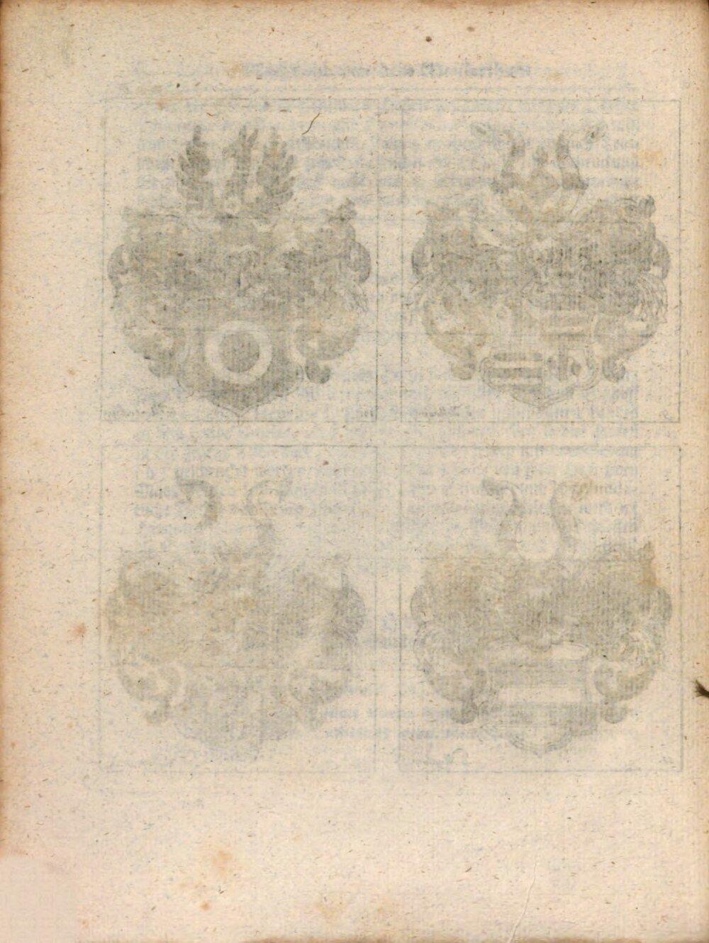 Image 00020