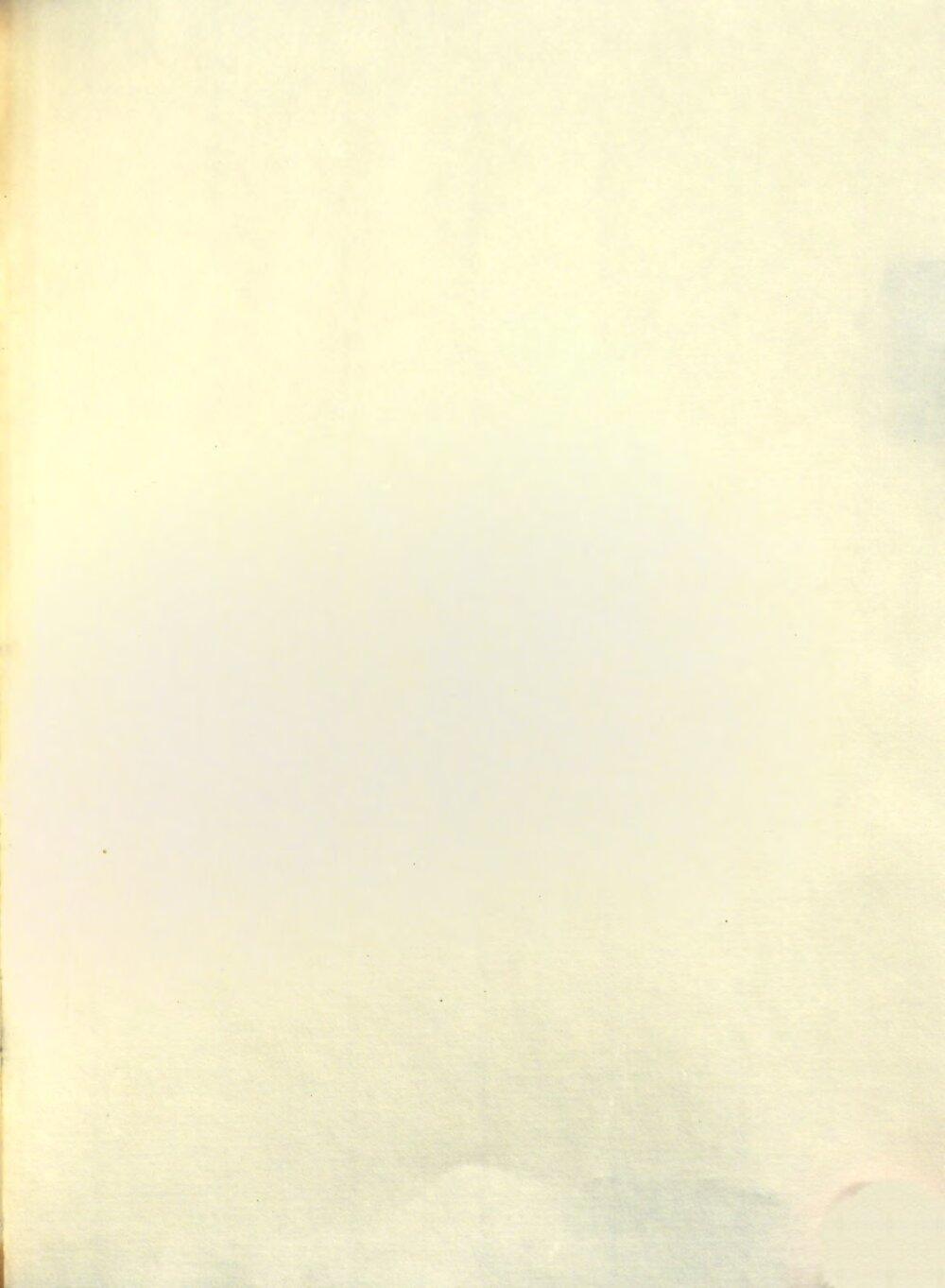 Image 00555