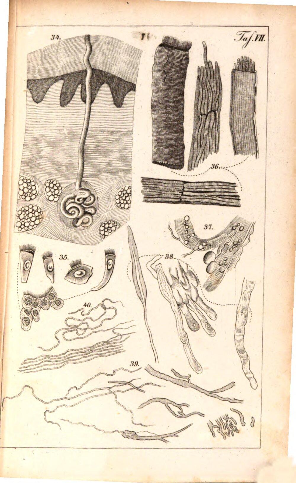 Image 00401