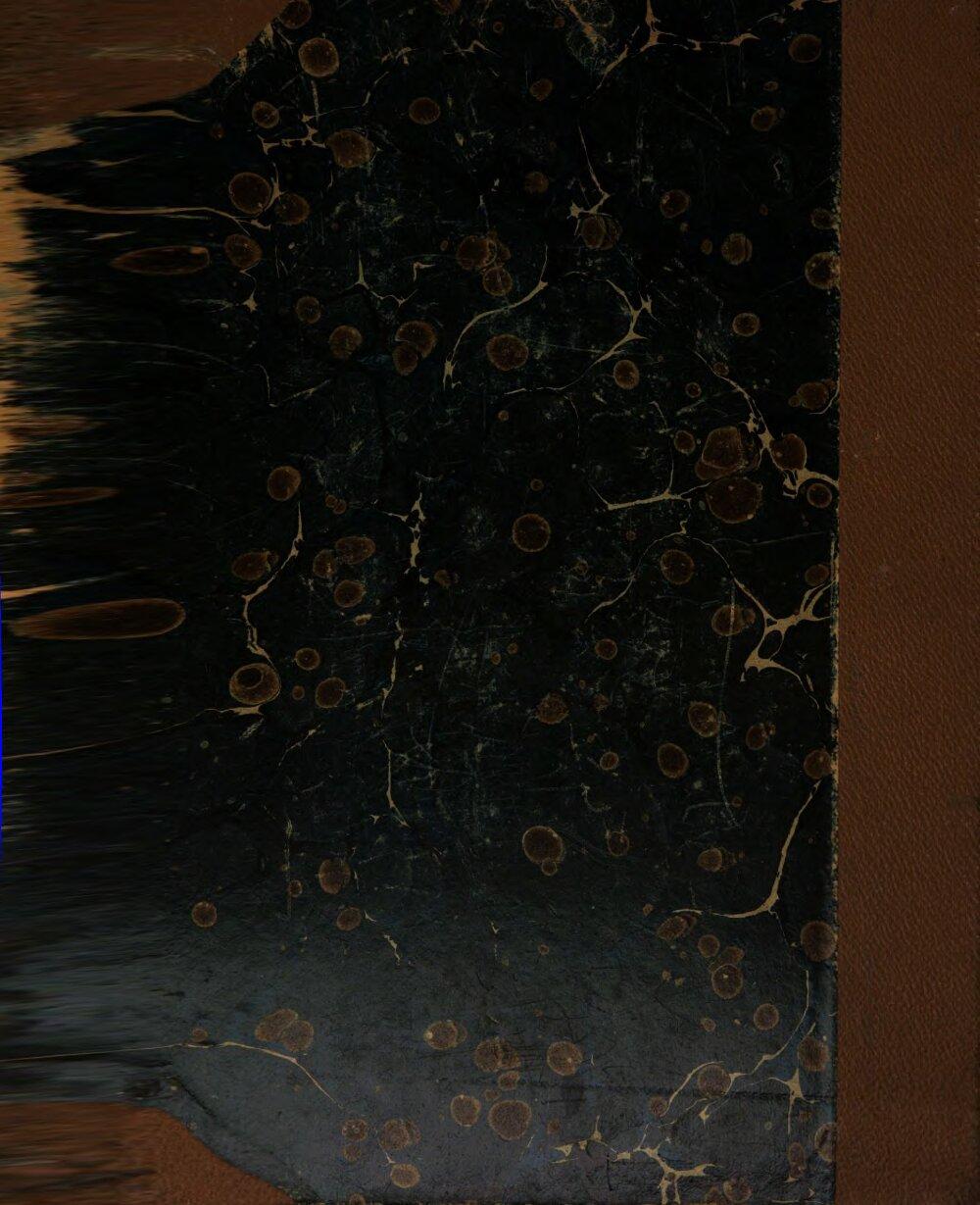 Image 00600