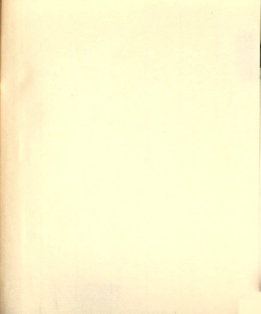 Image 00029