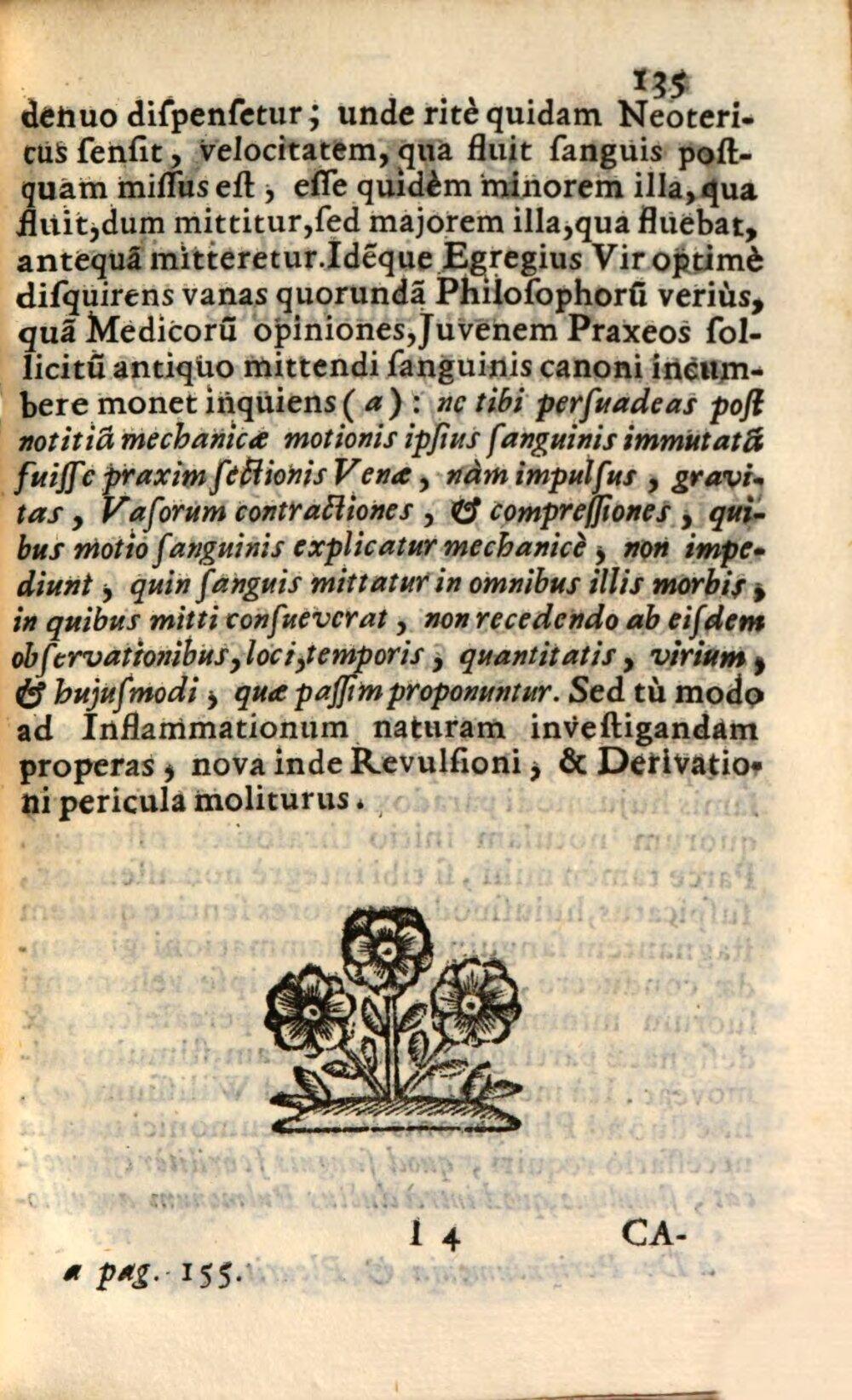 Image 00139