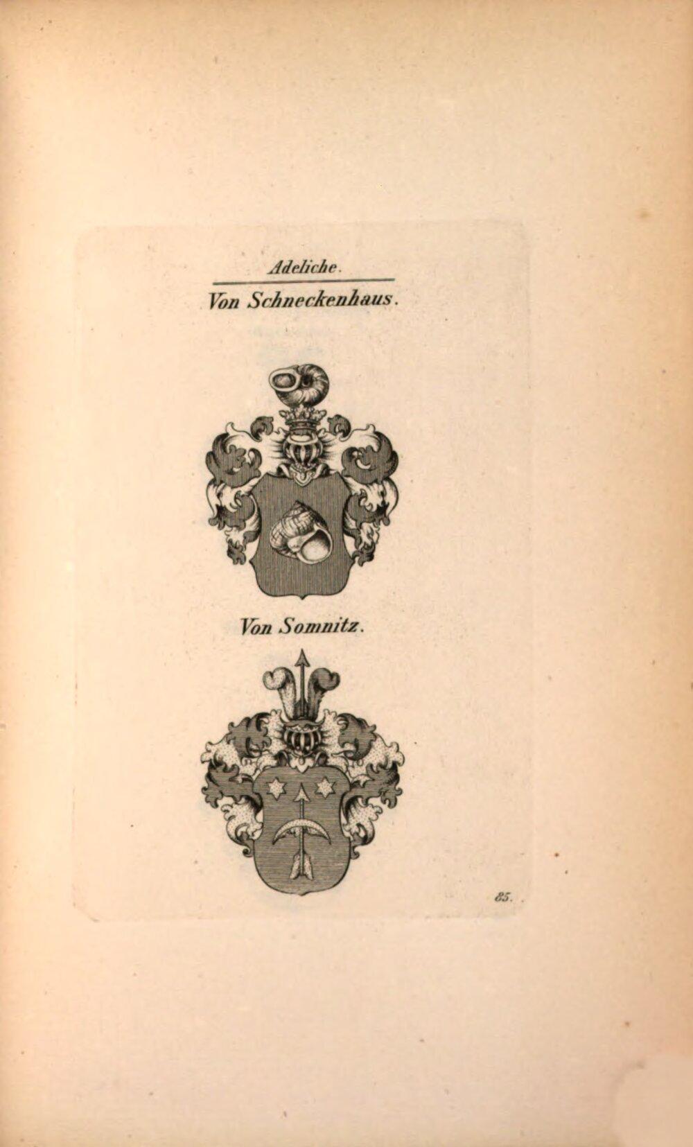 Image 00173