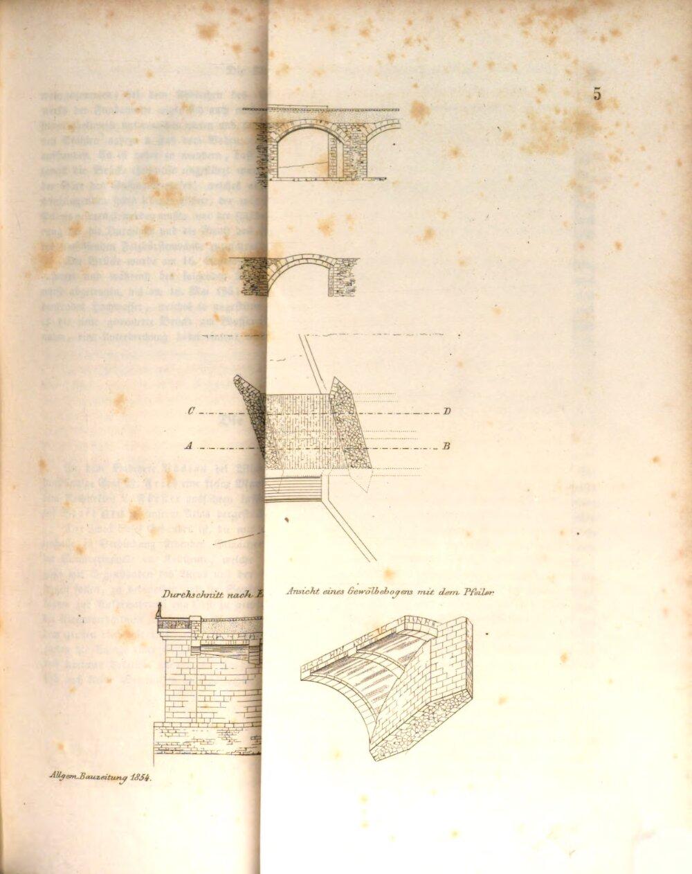 Image 00019