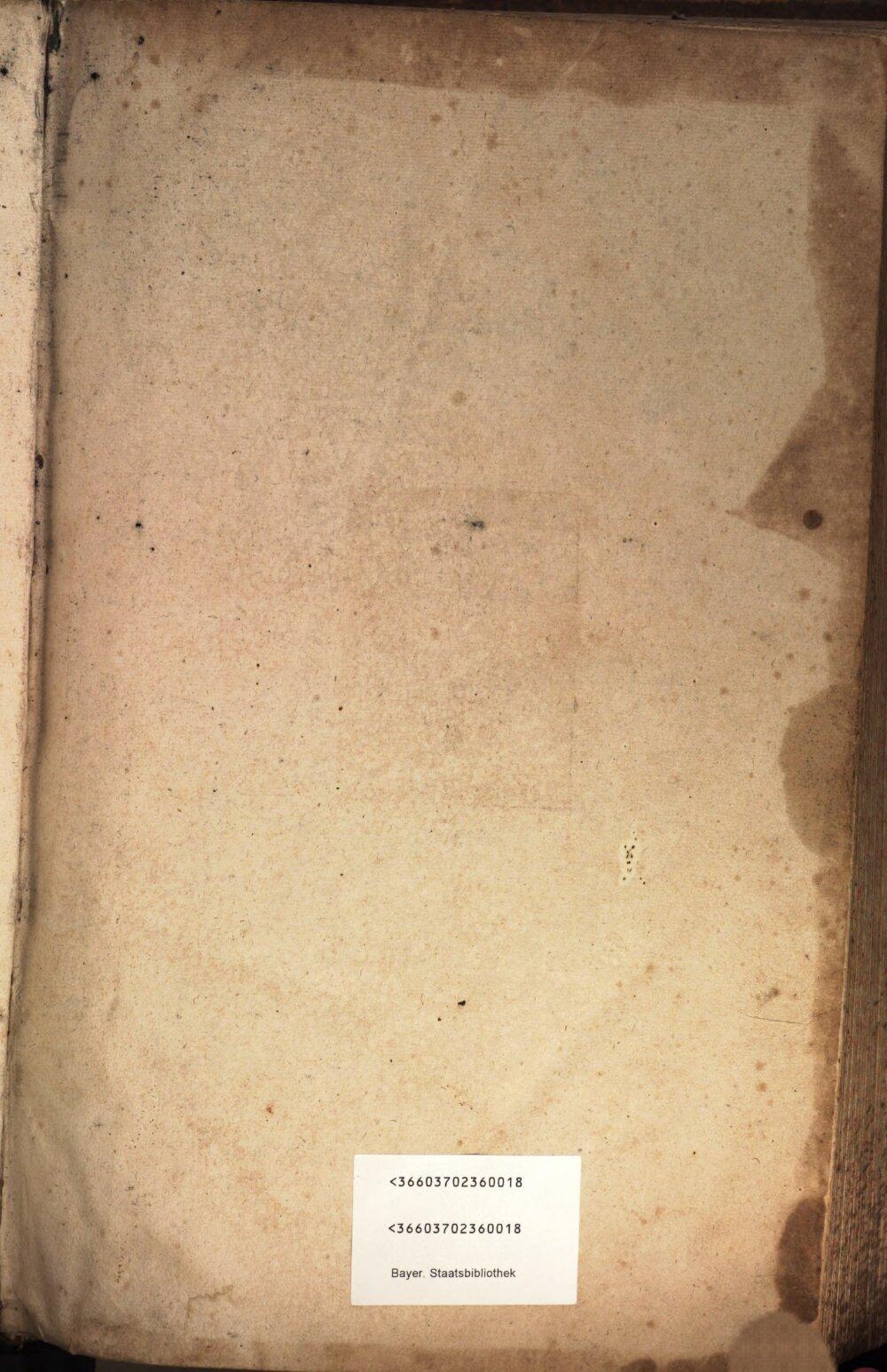 Image 00005