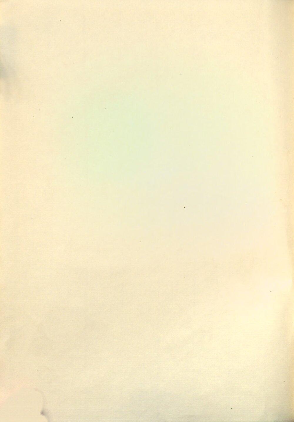 Image 00004