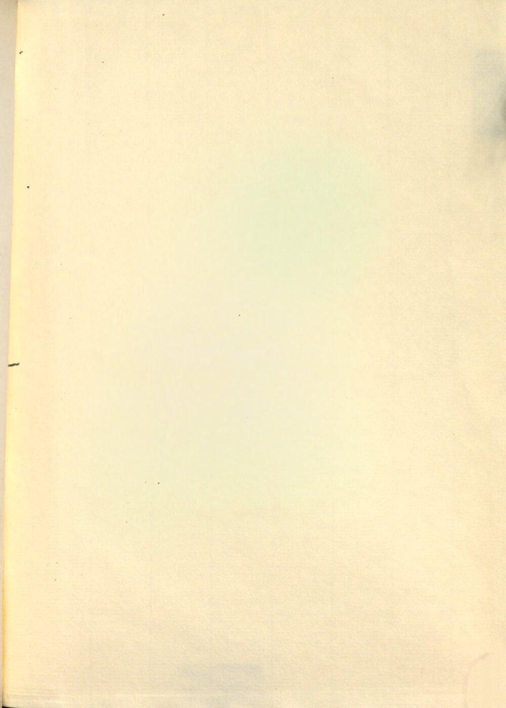Image 00537