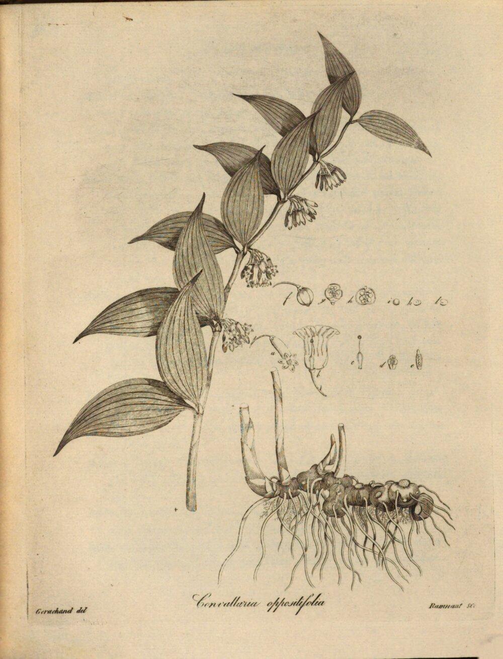 Image 00393
