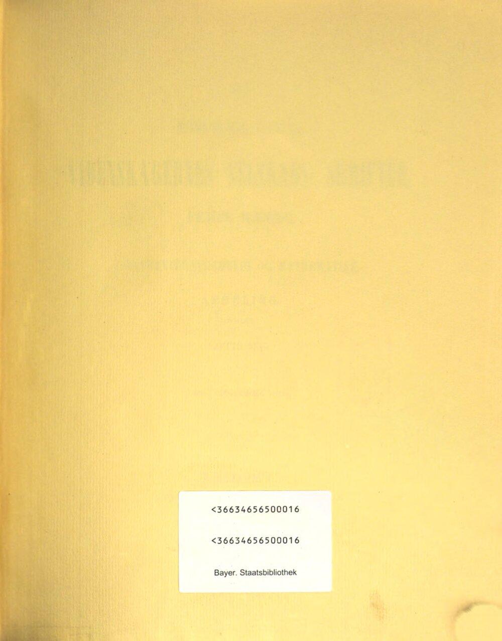 Image 00003