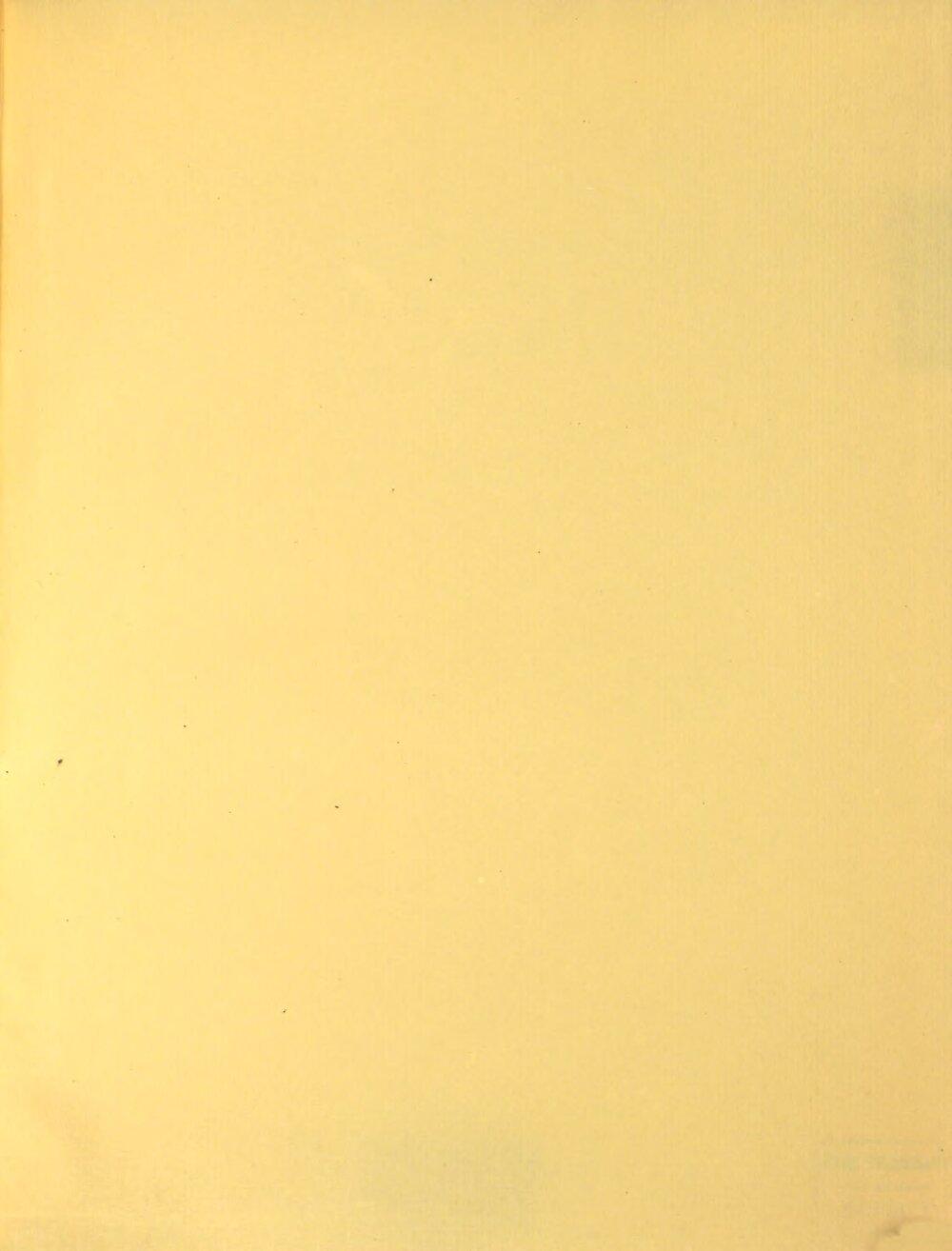 Image 00531