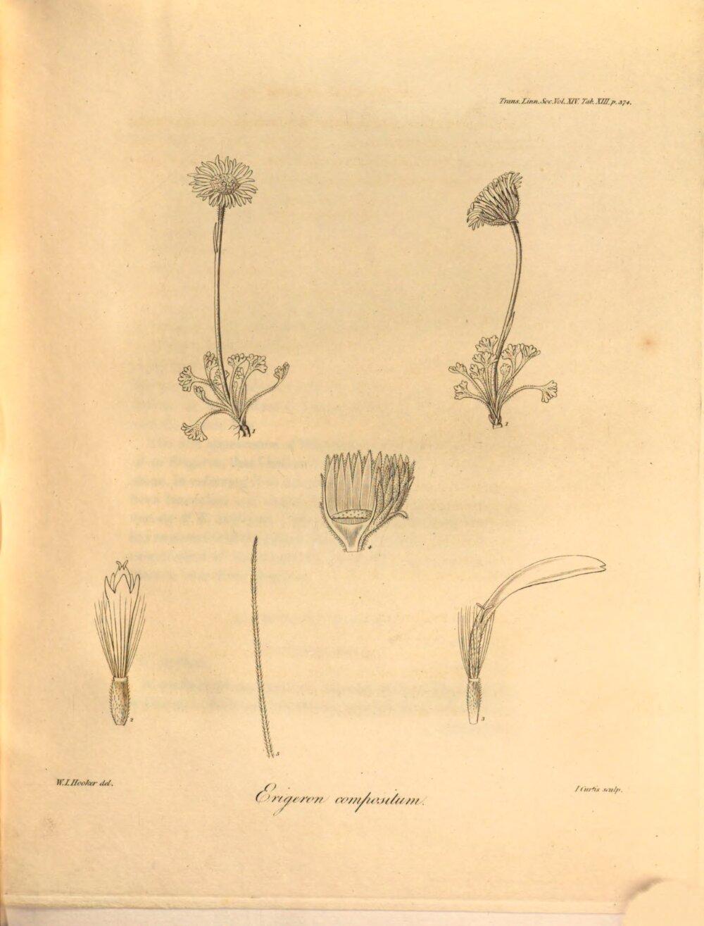 Image 00409