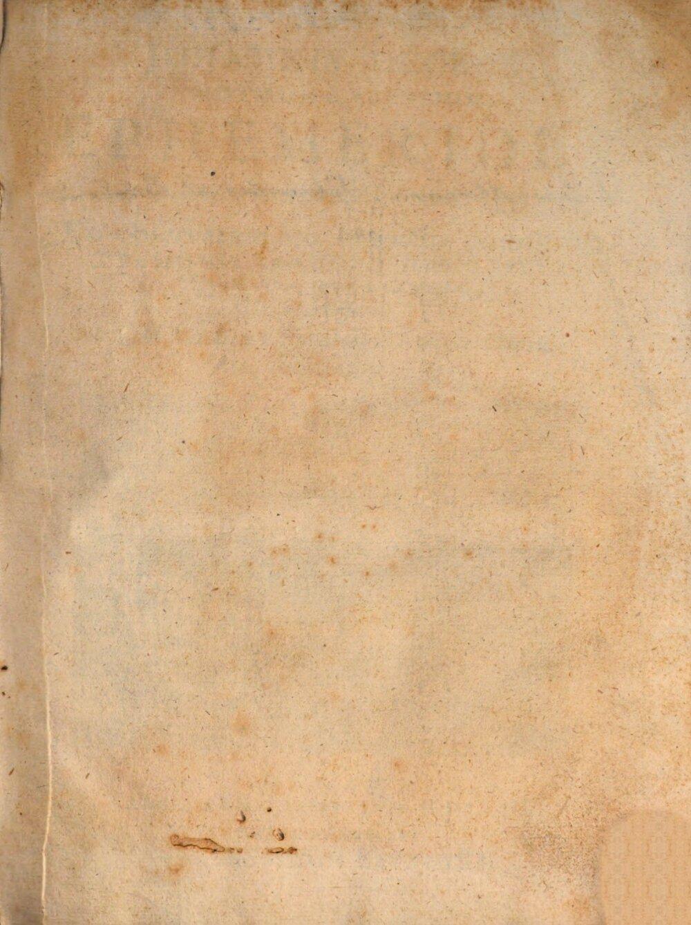 Image 00003