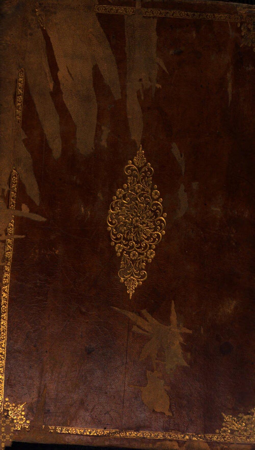 Image 00872