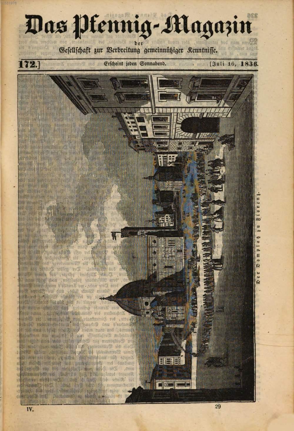 Image 00239