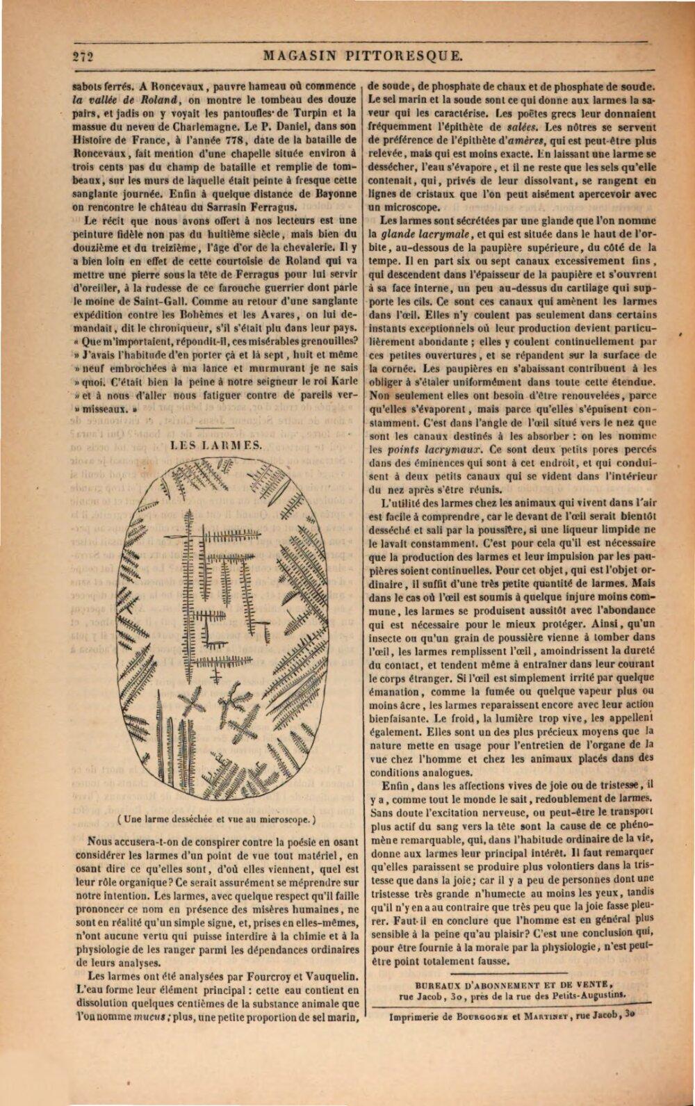 Image 00282